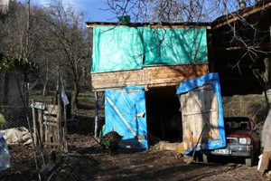 Artvin de Büyükbaş Hayvanlar Şarbondan Telef Oldu