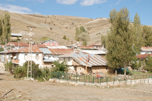 yilan korkusu kabuslari oldu haberler