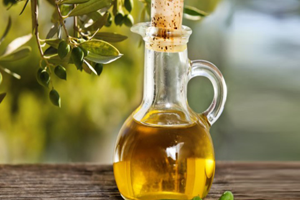 1300 Yıllık Ağaçtan Elde Edilen Zeytinyağı Rekor Fiyata Satıldı