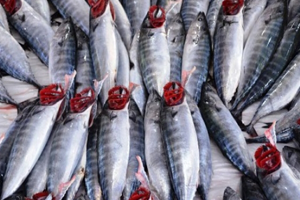 Tanesi 10 TL ye Düştü