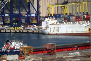 Bakanlık Limanda Bekleyen Anguslar Hakkında Açıklama Yaptı