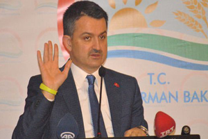 Bakandan Açıklama Yerli Hal Yasası Üzerinde Çalışıyoruz