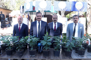 Kahve Artık Yemen den Değil Mersin den Gelecek