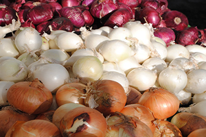 Soğanda Yaşanan Hastalık Rekolteyi Vurdu Fiyatlar Tavan Yapacak