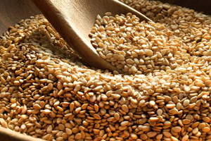 Susamda Gümrük Vergisi Sıfırlandı