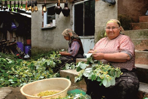 Kadın Çiftçilere Destek