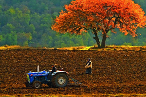 Ecrimisil Fırsatını Kaçırmayın
