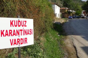 Bakanlıktan Kuduz Açıklaması