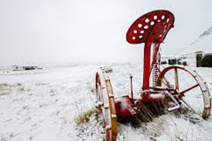 Soğuk Hava Geliyor Don Tehlikesi Var