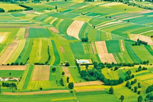 Hazine Arazileri 90 bin Başvuru