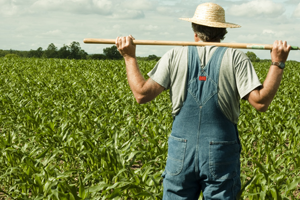 Çiftçiyi Kalkındıracak 10 Önemli Proje Hayata Geçiyor
