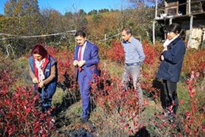 İşini Bıraktı Hayalinin Peşinden Gitti