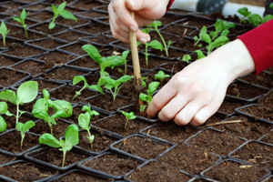 Çiftçi Çocuklarına GÜBRETAŞ tan Burs İmkanı