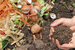 `Siyah Altın` İle Gübre İthalatı Azalıyor
