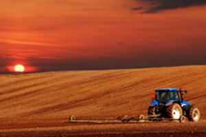 Bir Çok Ürün TARSİM Kapsamı Altına Alındı