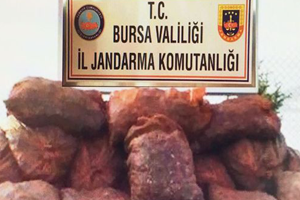 Drone İle Kaçak Midye Operasyonu 25 Ton Ele Geçirildi