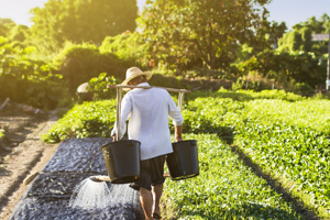 2018 ÇKS Başvuru Süresi Uzatıldı