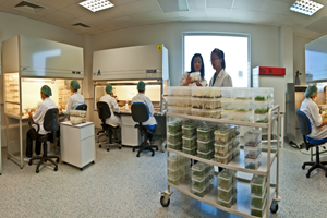 Tekfen Tarım`dan Daha Verimli  Buğday İçin Özel Çalışma!