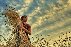 Ata Tohumu Dönemi Başlıyor