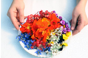 Bu Çiçeklerin Yenildiğini Biliyor muydunuz