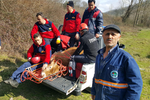 Düşen Dana Sedyeyle Taşınarak Kurtarıldı