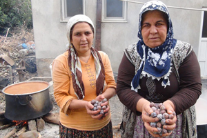 Şifa Kaynağı Andız Pekmezinin Üretimi Başladı