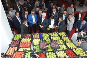 Tarım Mobilyacılığı Geride Bıraktı