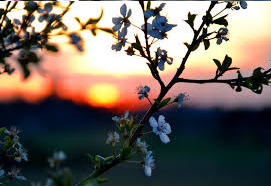 2018 İlk Cemre Ne Zaman Düşecek Cemre İlk Nereye Düşer
