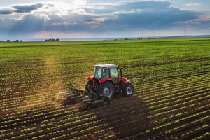 Tarlalar Borsaya mı Alınacak