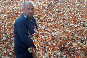 Narenciye Üreticisinin Yeni Umudu Portakal Kabuğu