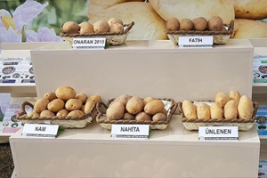 Yerli Tohum Nahita nın Satışı Yapıldı