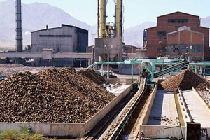 Bakanlık Şeker Fabrikalarına Talip