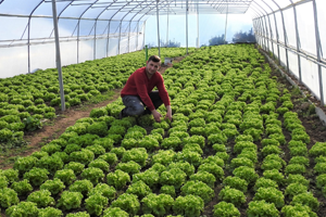 Genç Çiftçi Projesi Meyvelerini Vermeye Devam Ediyor