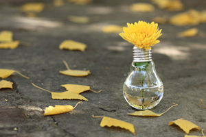 Evde Tarım Yapmanın En Kolay 6 Hali