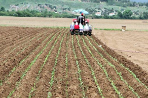 Tarım ÜFE Şubat Ayında Arttı