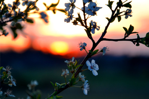 Doğada Neler Oluyor