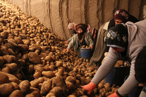 Bayraktar dan Patates Tüketelim Çağrısı