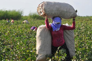 METİP Projesi ile 200 Kişinin Hayatı İyileşecek