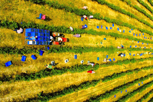 Atatürk ün Milli İçecek Tavsiyesi Gerçek Oluyor