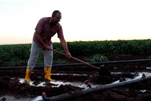 Tarlasını Gece Sulayan Yüzde 15 Kazanç Sağlıyor