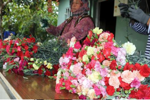 Türkiye nin İlk Yerli Karanfili Tescillendi