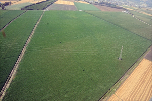 32 Büyük Ova Korumaya Alındı