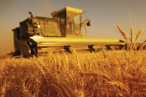 Tarım Sigortası Yaptıranların Sayısı Artıyor