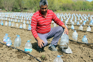 Hurdacıdan Aldığı Pet Şişelerden Sera Yaptı