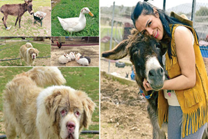 Zulme Uğrayan Hayvanlar İçin Huzur Çiftliğini Kurdu