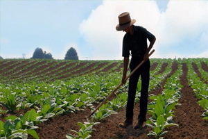 Genç Çiftçi Projesine Başvuracaklar Dikkat! Son Gün 30 Nisan