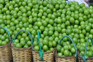 Kilosu 125 Lira Geriledi