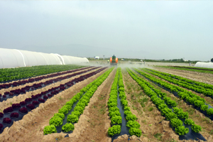 Tarımda İhracat 17, İthalat 13 Milyar Dolar