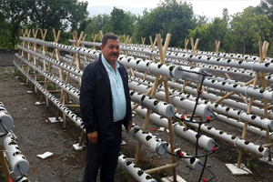 Su Borusunda Çilek Yetiştirmeye Başladı