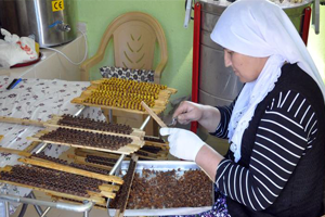 Hibe Desteği İle Kurduğu Tesiste Siparişlere Yetişemez Hale Geldi
